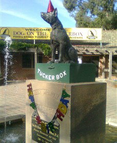 The Dog On The Tucker Box - Grafton Accommodation 1