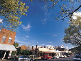 Drysdale Cheeses - Grafton Accommodation 1