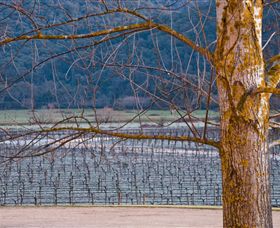 Chrismont - Grafton Accommodation 4