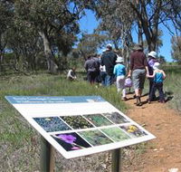 South Gundagai Woodlands Walk - Grafton Accommodation