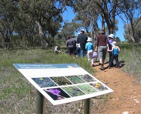 South Gundagai Woodlands Walk - Grafton Accommodation 0