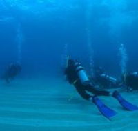 Man and Wife Rocks Dive Site - Grafton Accommodation