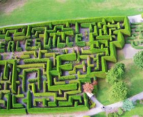 Hedgend Maze And Healesville Laser Sport - Grafton Accommodation 0