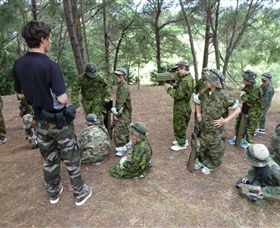 Hedgend Maze And Healesville Laser Sport - Grafton Accommodation 3