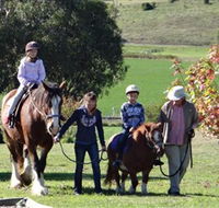 Bathurst Farm Experience - Grafton Accommodation
