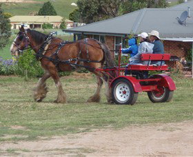 Bathurst Farm Experience - Grafton Accommodation 3