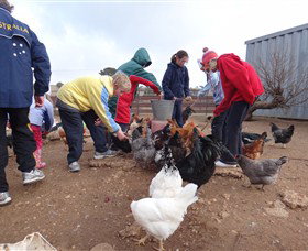 Bathurst Farm Experience - Grafton Accommodation 2