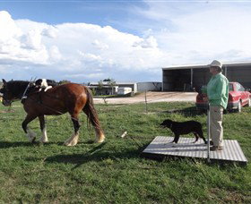 Bathurst Farm Experience - Grafton Accommodation 7