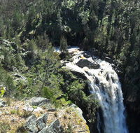 Grove Creek Falls walking track - Grafton Accommodation