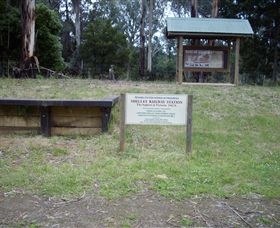 Shelley Forest Camp - Grafton Accommodation 0