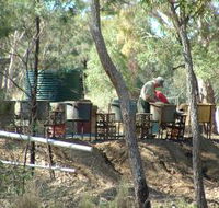 7 Oaks Sapphire Fossicking - Grafton Accommodation