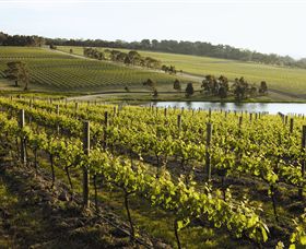 Yabby Lake Vineyard & Cellar Door - Grafton Accommodation 7