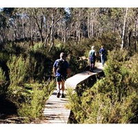 Hume and Hovell Walking Track - Henry Angel Trackhead - Grafton Accommodation