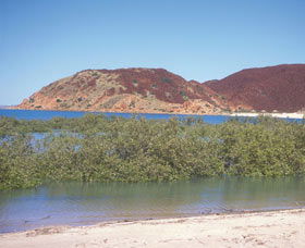 Hearsons Cove - Grafton Accommodation 0