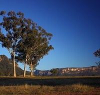 Capertee Valley Bird Trail - Grafton Accommodation