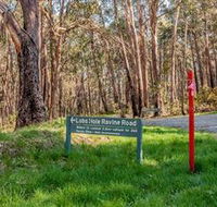 Lobs Hole Ravine 4WD Trail - Grafton Accommodation