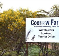 Coorow Farm Wildflower Trail - Grafton Accommodation