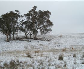 Crookwell Wind Farm - Grafton Accommodation 2