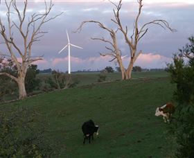 Crookwell Wind Farm - Grafton Accommodation 1