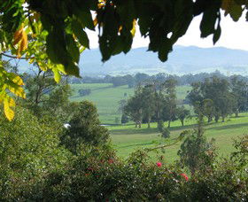 Brandy Creek Wines & View Cafe - Grafton Accommodation 5