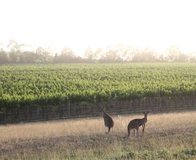 Small Forest Wine - Grafton Accommodation 0