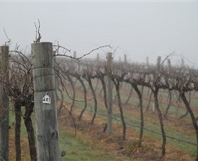 Small Forest Wine - Grafton Accommodation 1