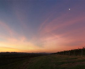 Small Forest Wine - Grafton Accommodation 2