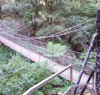 Jenolan River walking track - Grafton Accommodation