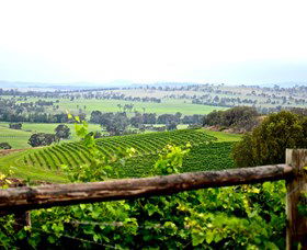 Hollydene Estate Wines And Vines Restaurant - Grafton Accommodation 2