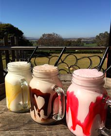 Hollydene Estate Wines And Vines Restaurant - Grafton Accommodation 6