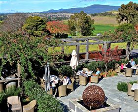 Hollydene Estate Wines And Vines Restaurant - Grafton Accommodation 8