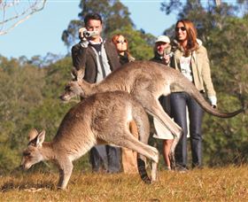 Boutique Tours Australia - Grafton Accommodation 2