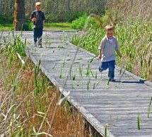 Hunter Wetlands Centre Australia - Grafton Accommodation 1
