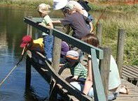 Hunter Wetlands Centre Australia - Grafton Accommodation 2