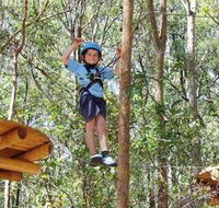 TreeTops Newcastle - Grafton Accommodation