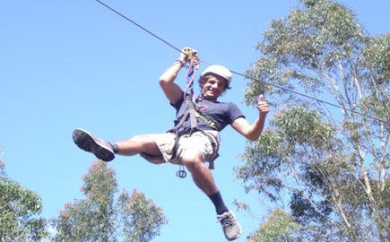 TreeTops Newcastle - Grafton Accommodation 1
