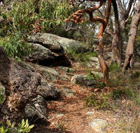 Box Head track - Grafton Accommodation