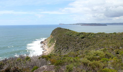 Box Head Track - Grafton Accommodation 2