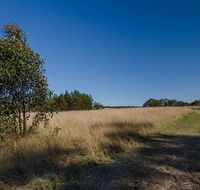 Scheyville horse riding trails - Grafton Accommodation