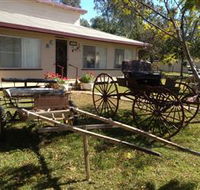Mr and Mrs Behan Sulky Display - Grafton Accommodation