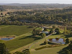 Maximilian's Restaurant And Sidewood Estate Cellar Door - Grafton Accommodation 0