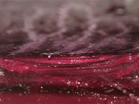 Adelaide Winemakers - Grafton Accommodation 2