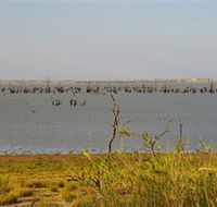 Lake Victoria - Grafton Accommodation