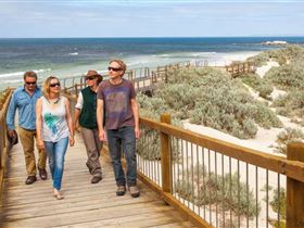 Seal Bay Conservation Park - Grafton Accommodation 3
