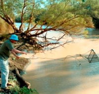 Charleville - Ward River Fishing Spot - Grafton Accommodation