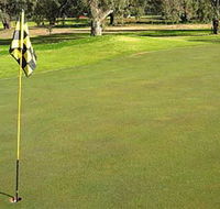 Wentworth Sporting Complex - Grafton Accommodation