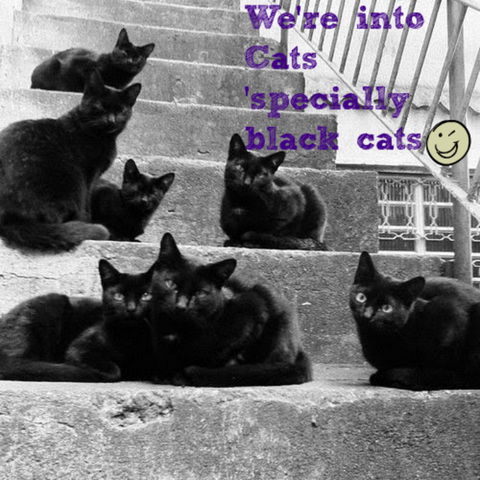 Gallery Serpentine - Grafton Accommodation 11