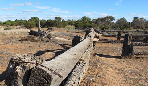 Zanci Pastoral Loop - Grafton Accommodation 0