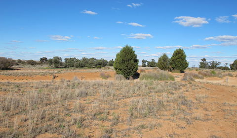 Zanci Pastoral Loop - Grafton Accommodation 3