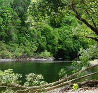 Broadwater Abergowrie State Forest - Grafton Accommodation